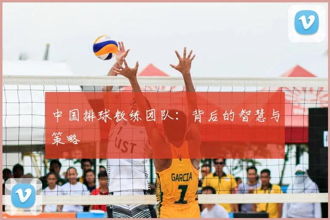 中国排球教练团队:背后的智慧与策略