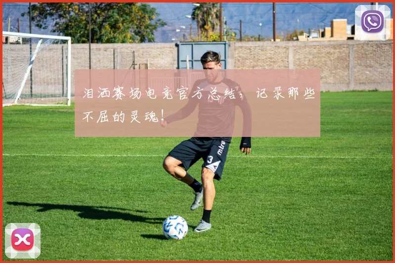 泪洒赛场电竞官方总结，记录那些不屈的灵魂！